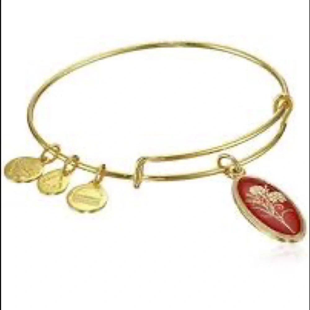 Alex and Ani Carnation Bracelet 🌷NWT and gift box - Picture 4 of 4